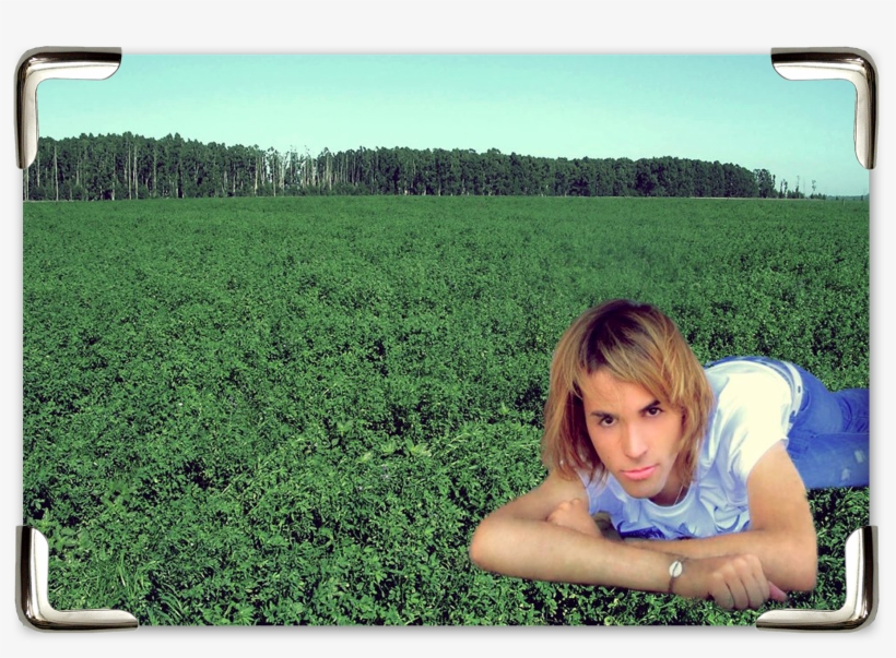 05 Juanisphoto1 - Field, transparent png download