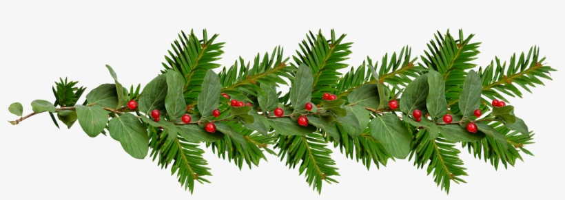 Marcos Gratis Para Fotos Scrap Navide U00f1o Scrap - Photography, transparent png download