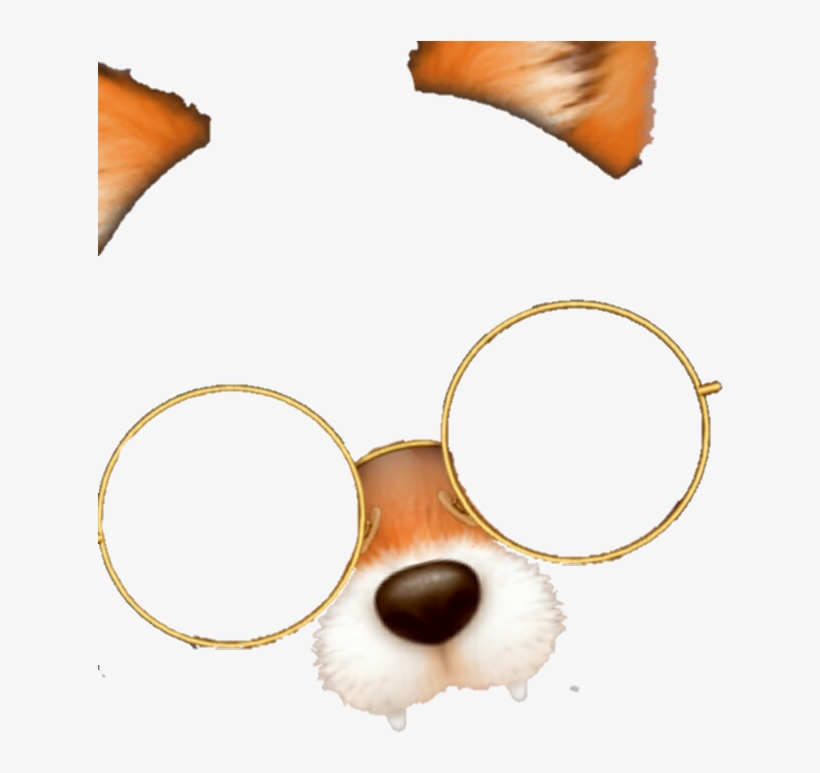 Report Abuse - Filtro De Zorro Png, transparent png download