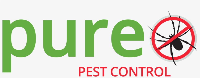 Info@pureservices - Nz - Music, transparent png download