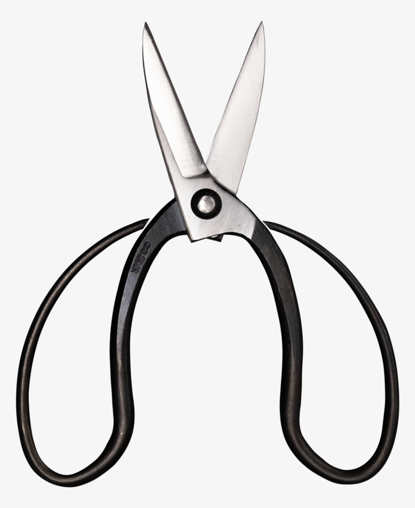 Morihei Kikuyu Kurouchi Okubo Pruning Shears 195mm - Cutting Tool, transparent png download