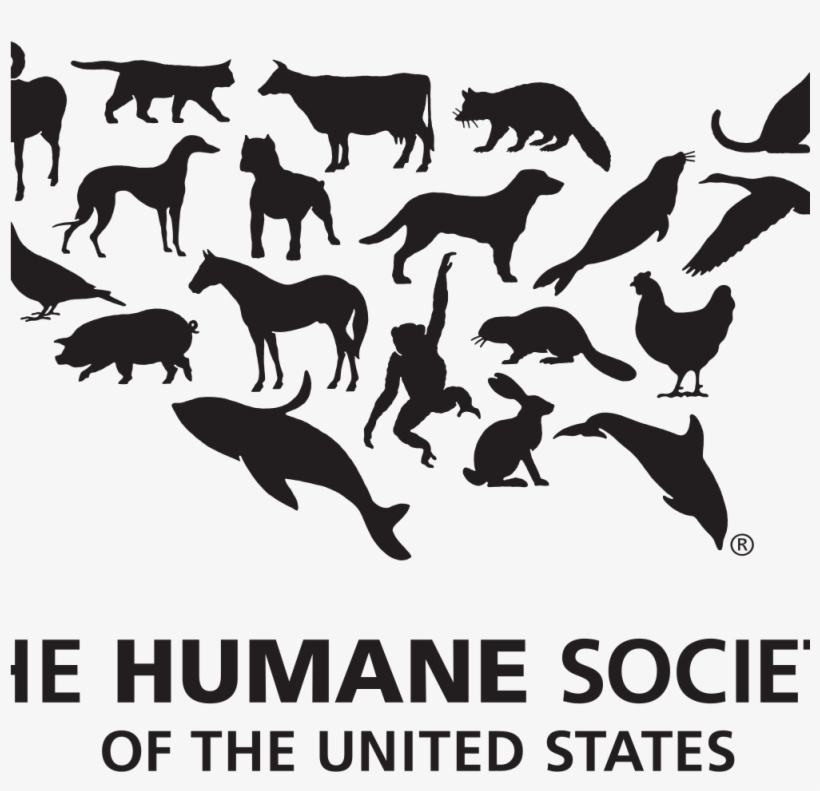 Cuddle Clones Donates $1000 To The Humane Society Of - Humane Society Of The United States, transparent png download