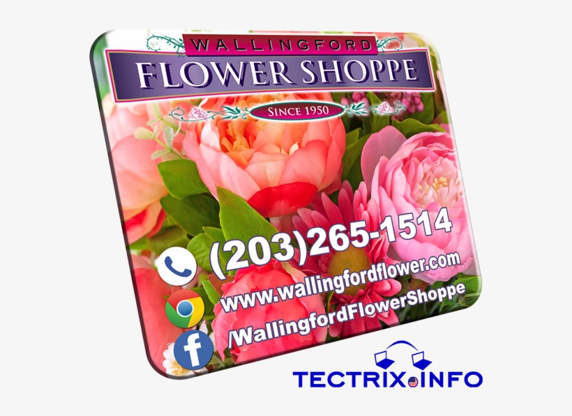 Wallingford Mouse Pad Design 2017 Perspective600 - Hybrid Tea Rose, transparent png download