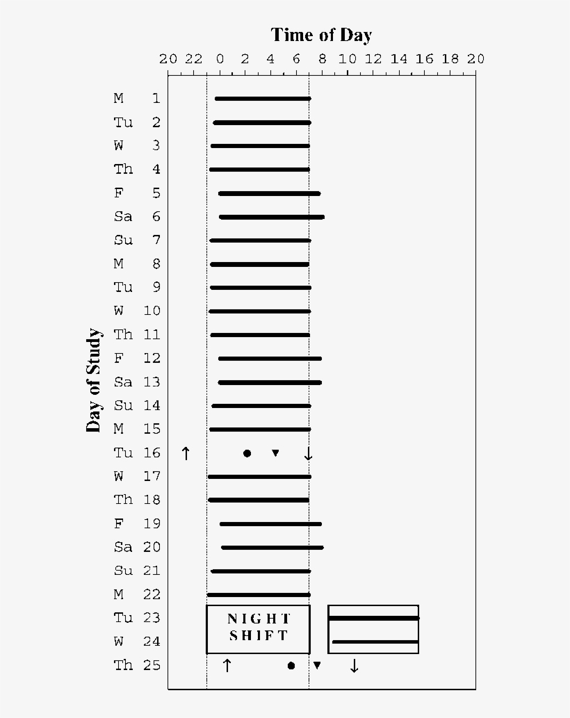 Black Bars Depict The Average Sleep Onset And Wake - Number, transparent png download