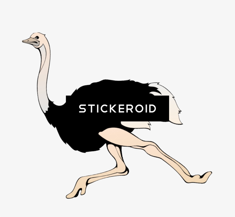Ostrich Animals - Ostrich, transparent png download