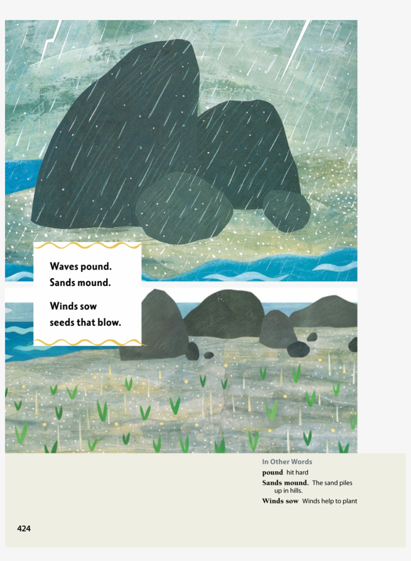 13 - Harbor Seal, transparent png download