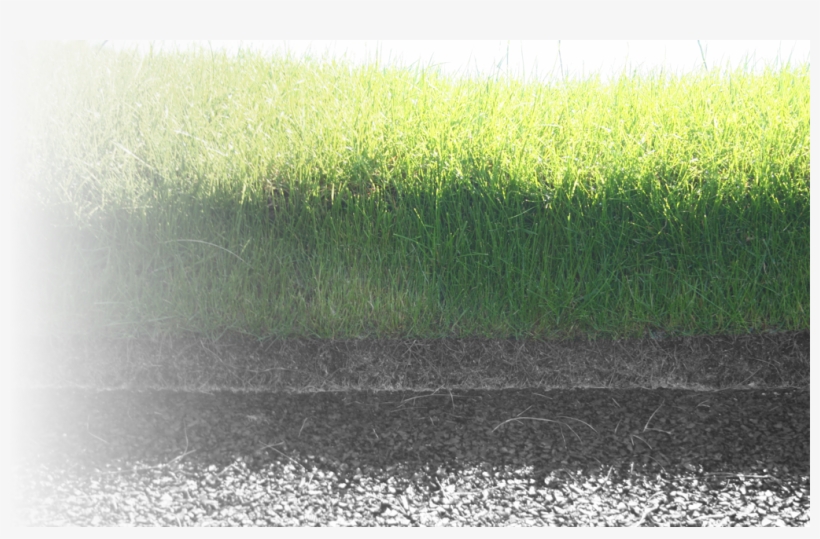 The Ultimate Solution For Your Problematic Bunkers - Lawn, transparent png download