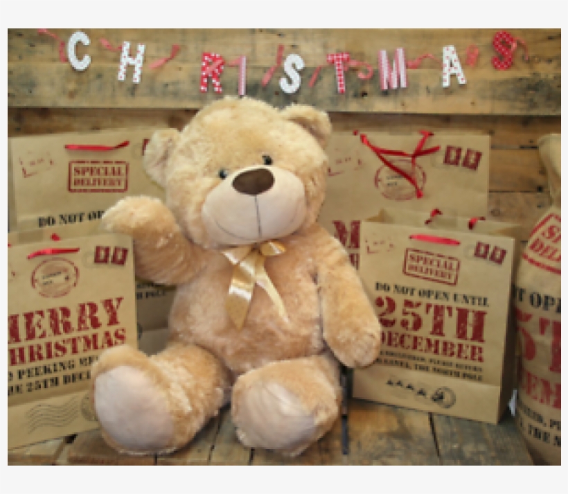 New Arrival Extra Large 80cm Super Cuddly Plush Giant - Hanging Tag Assorted Design 10 X 17cm - Christmas, transparent png download