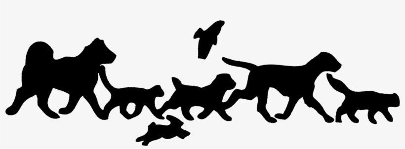 Animal Hospital, transparent png download