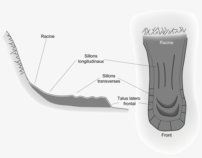 Schéma Glacier Rocheux Type - Glacier, transparent png download