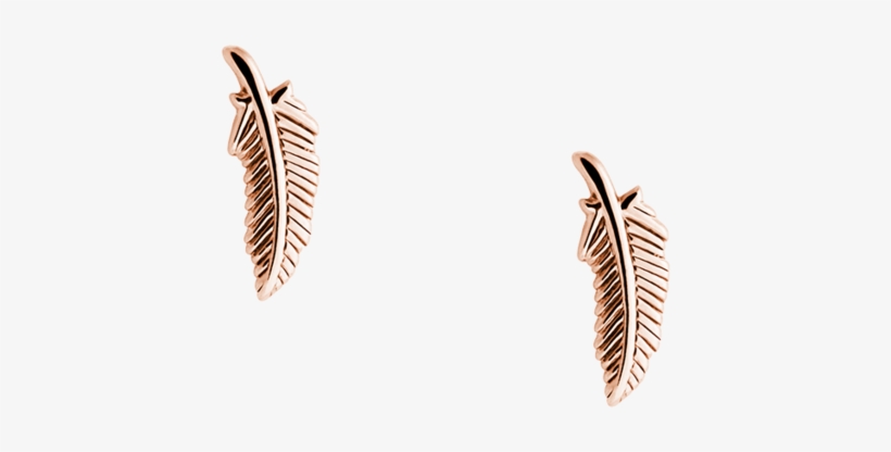 Feather Studs Image - Feather Studs, transparent png download