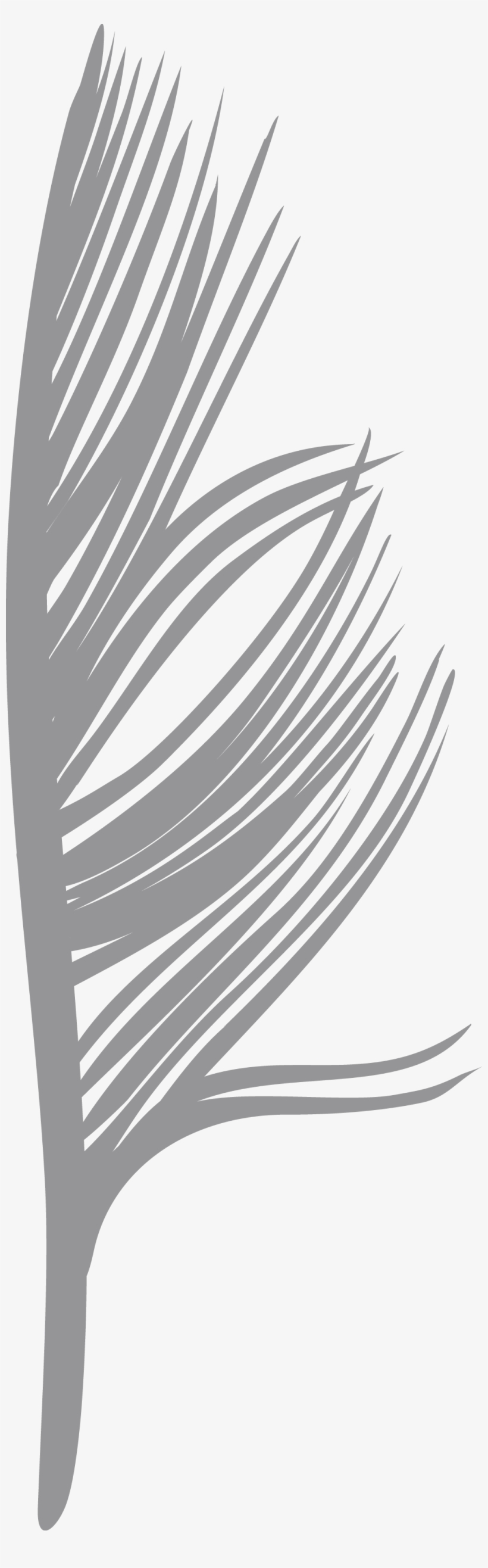 Feather Creative, transparent png download