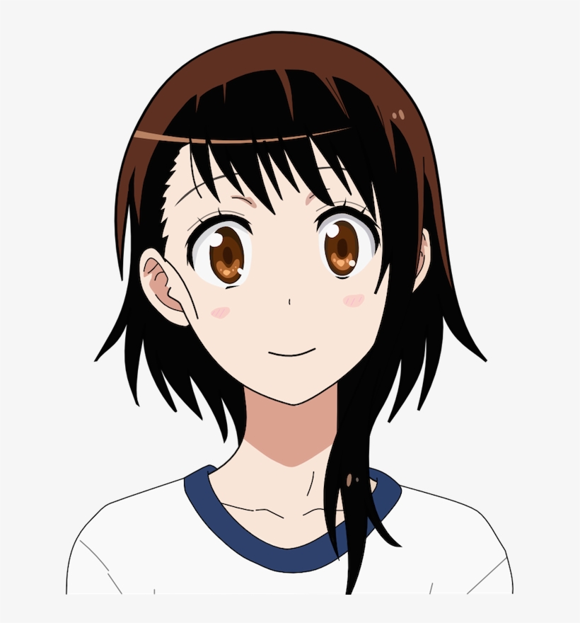 Definitely Lacking In Sparkles - Nisekoi Team Onodera, transparent png download
