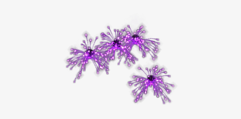 Animated Fireworks Gif Transparent - Lobelia, transparent png download