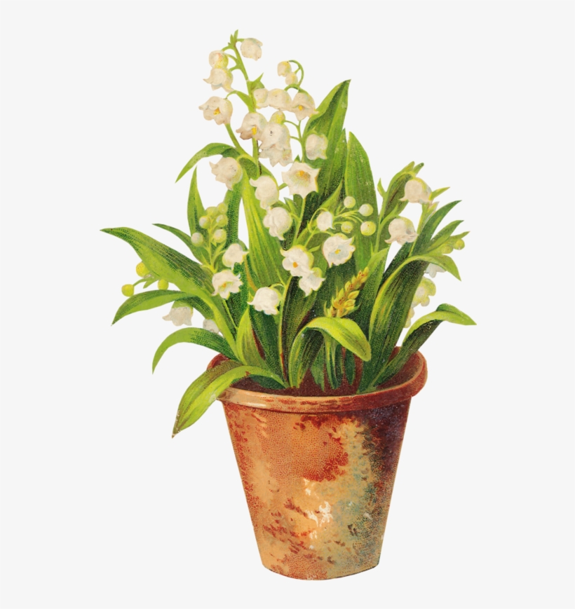 This Png File Is About Vas - Bln Victorian Fruits And Flowers Collection - White, transparent png download