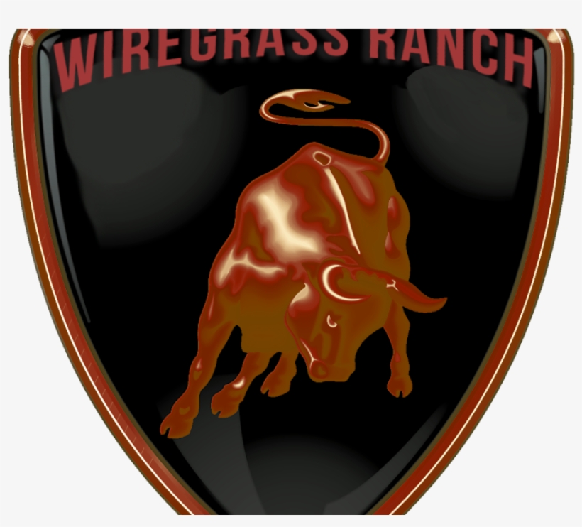 Honored By Wiregrass Hs - Lamborghini, transparent png download