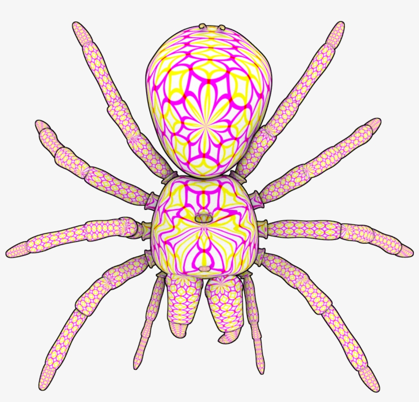 Psychedelic Tarantula - Insect, transparent png download