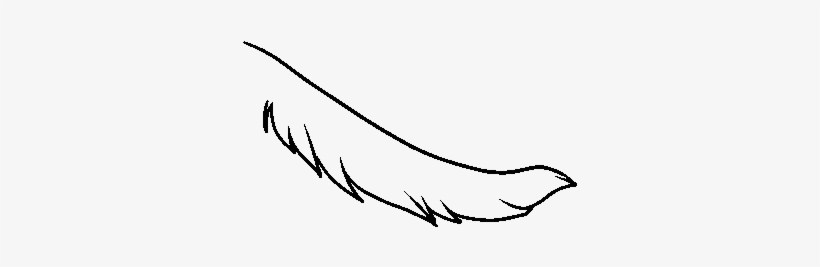 Feathered Tail Icon - Sketch PNG Image | Transparent PNG Free Download ...