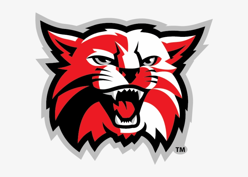 Kenton Wildcats - Kenton City Schools Wildcat, transparent png download