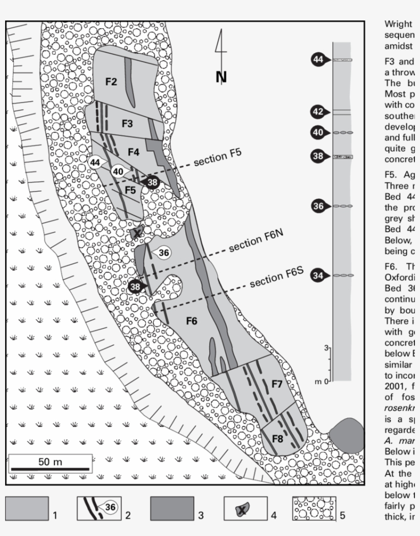 Geological Map Of The Beach At Flodigarry, Isle Of - Geology, transparent png download