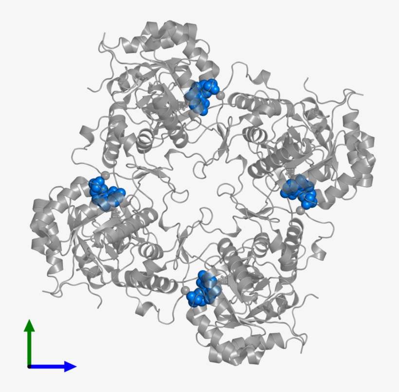 <div Class='caption-body'>pdb Entry 1mei Contains 4 - Bead, transparent png download