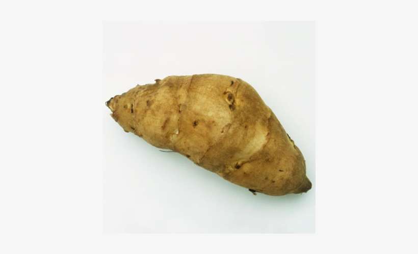 <strong>jerusalem - Jerusalem Artichoke, transparent png download