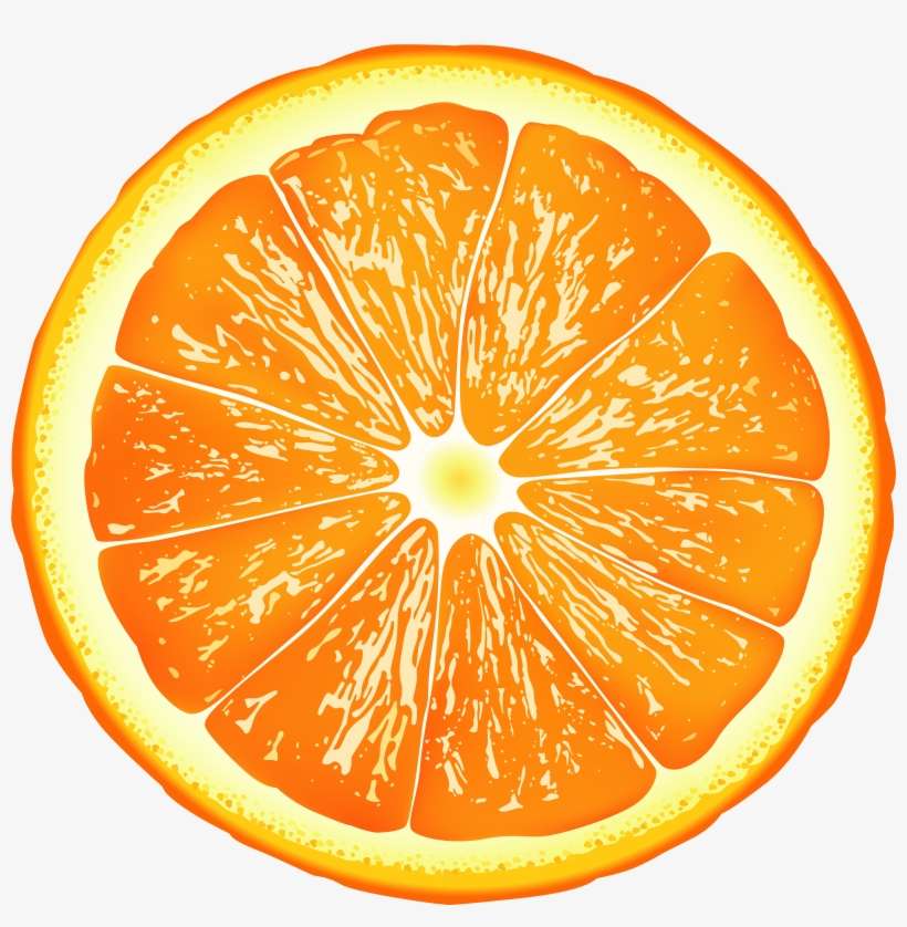 Orange Slice Png PNG Image Transparent PNG Free Download on SeekPNG