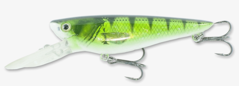 Holo Perch - Bait Fish, transparent png download