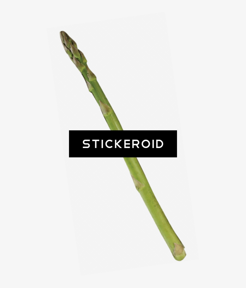 Single Asparagus - Asparagus, transparent png download