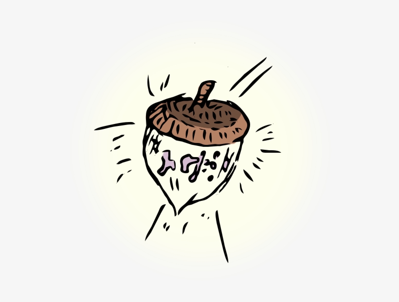Acorn - Illustration, transparent png download