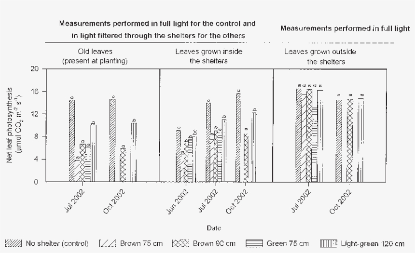 Effects Of Different Types Of Shelters On Net Leaf - Leaf, transparent png download