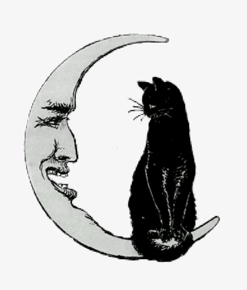 Blackcat Witchy Halloween Moon Vintagehalloween Freetoe - Cat On The Moon, transparent png download