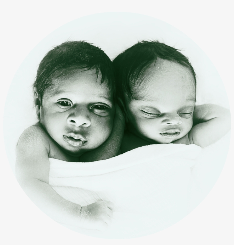 Flora's Venue Of Choice For The Night's Copulation - Baby, transparent png download