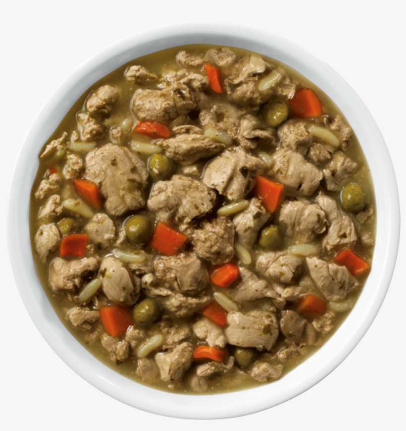 science diet website