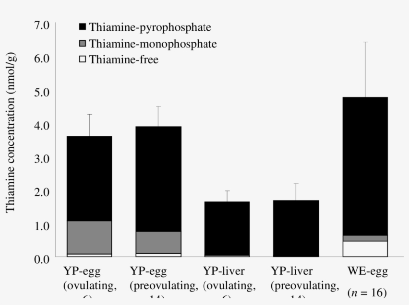 A Concentration Of Thiamine And Its Derivatives - Lake Erie, transparent png download