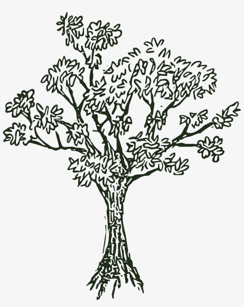 Lhle Tree@2x - Lost Hill Lake Events, transparent png download