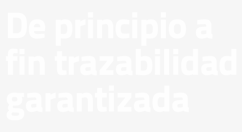 Pizza Box, transparent png download