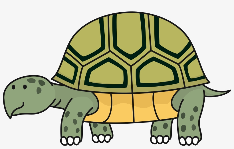 Banner Library Stock Big Image Png - Tortoise Clipart Pdf, transparent png download