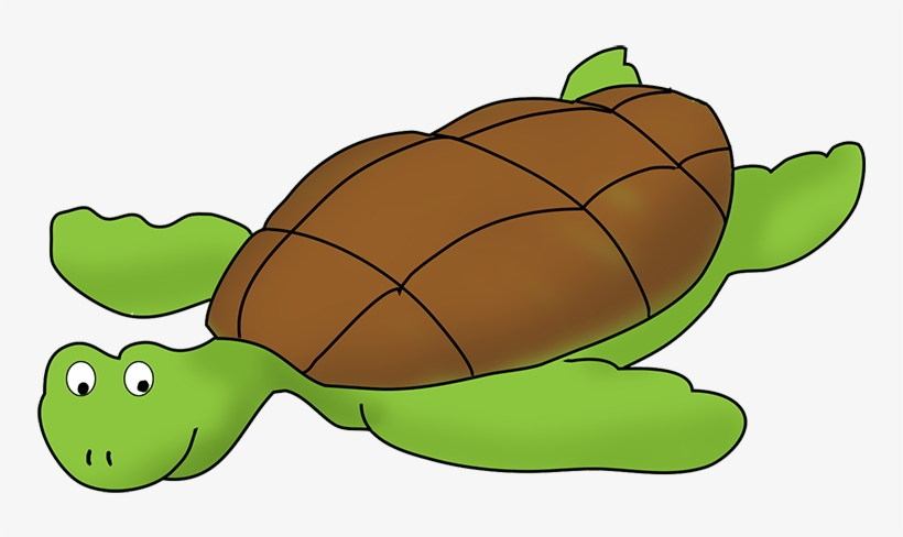 Turtle Clipart Png Transparent - Clip Art Turtles Png, transparent png download