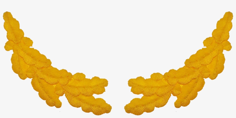 Command Staff Scrambled Eggs / Oak Leaf Cap Braid Patches - Orange, transparent png download