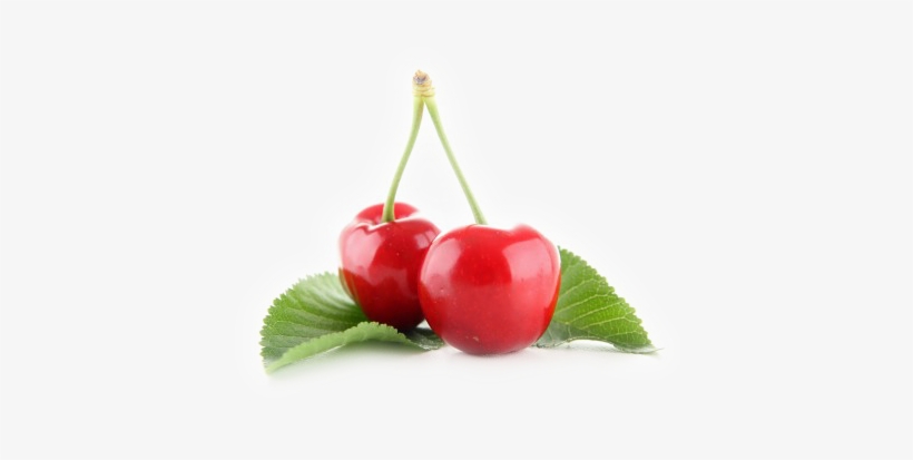 Source - Photography, transparent png download