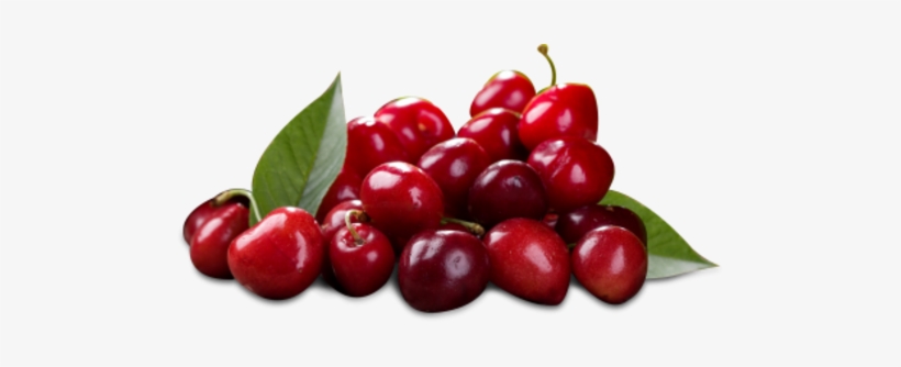 Red Fresh Cherries - Six Packs Of Derma V10 Fusion Cherry &amp; Macadamia, transparent png download