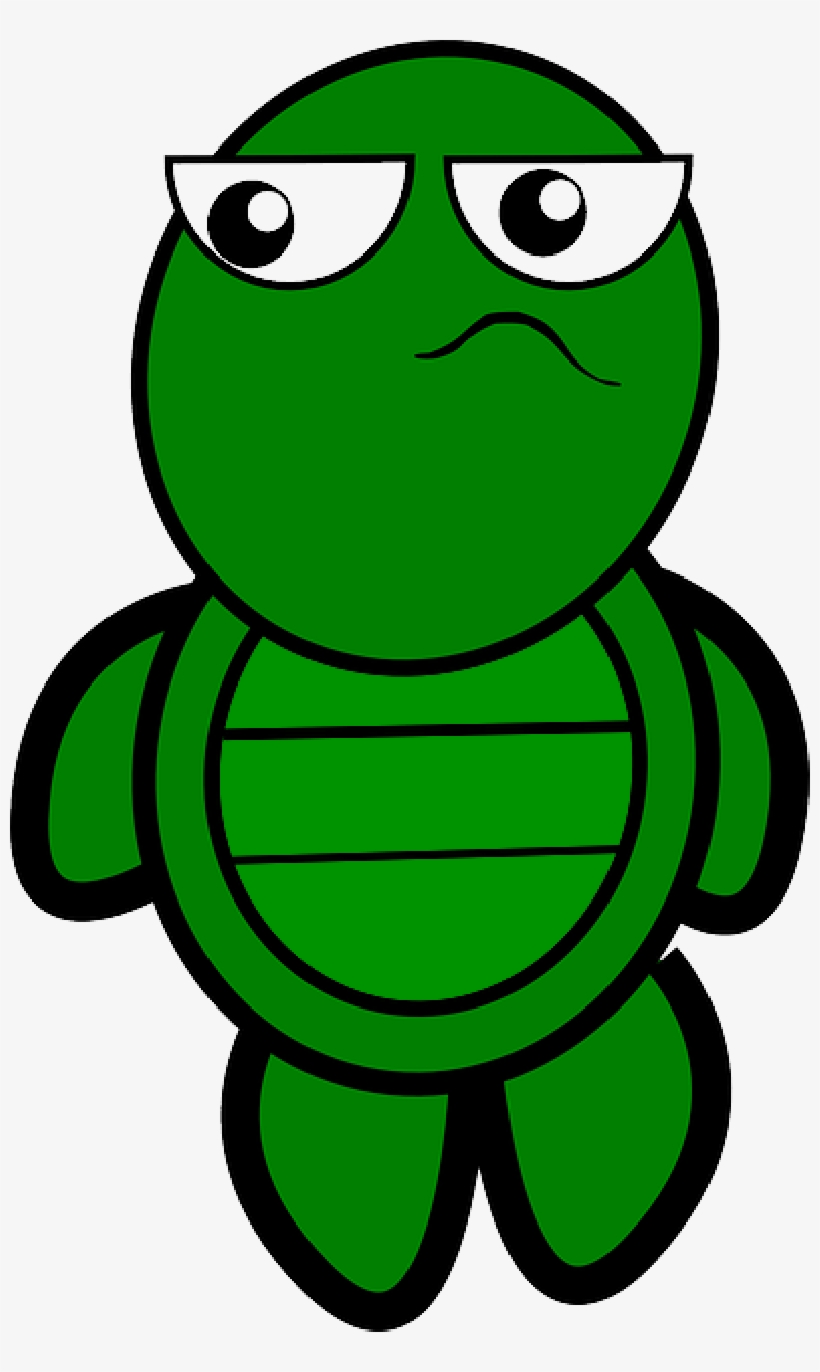 Mb Image/png - Cartoon Turtle, transparent png download