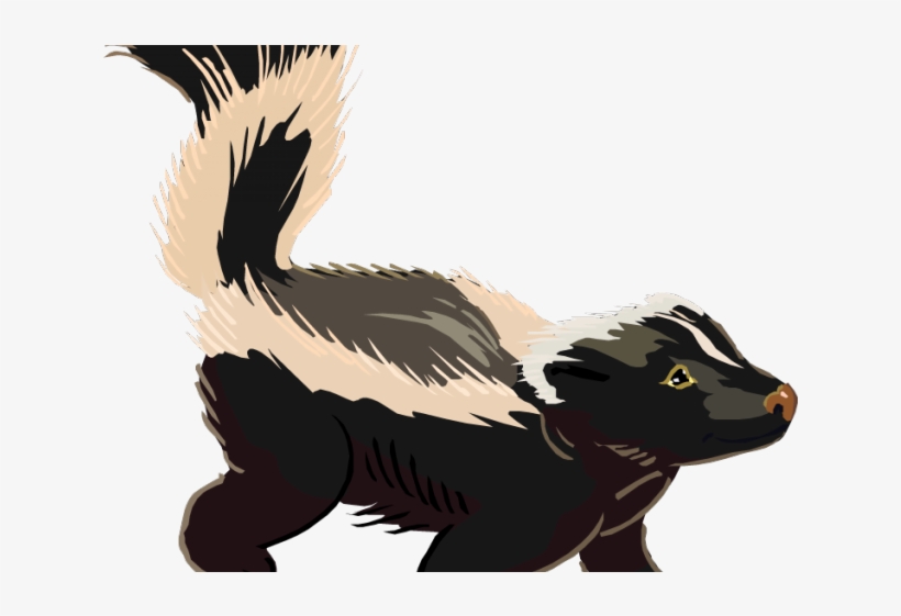Library Free On Dumielauxepices Net Realistic - Skunk Clip Art, transparent png download