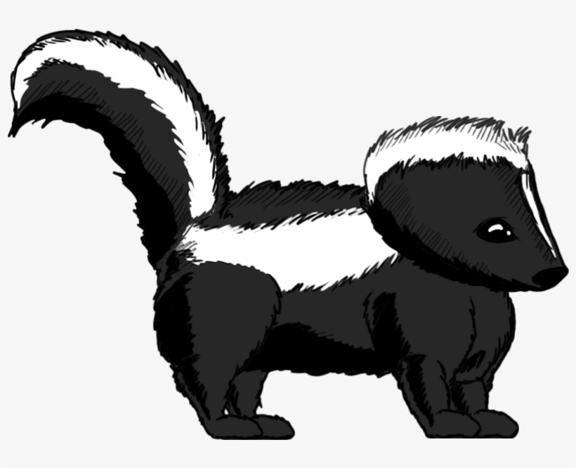 Striped Skunk Whiskers Badger - Transparent Skunk, transparent png download