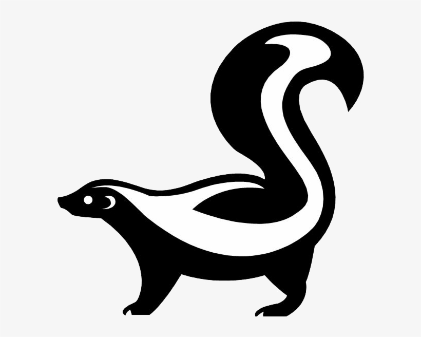 Skunk Drawing - Google Search - Skunk Drawing, transparent png download