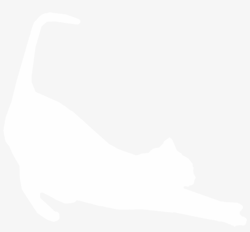 Silhouette Of A Cat - Cat White Silhouette Png, transparent png download