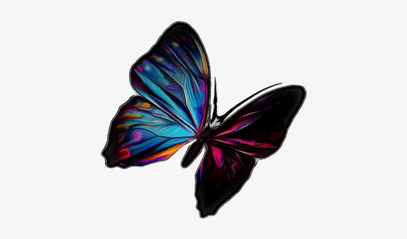 Butterfly, transparent png download