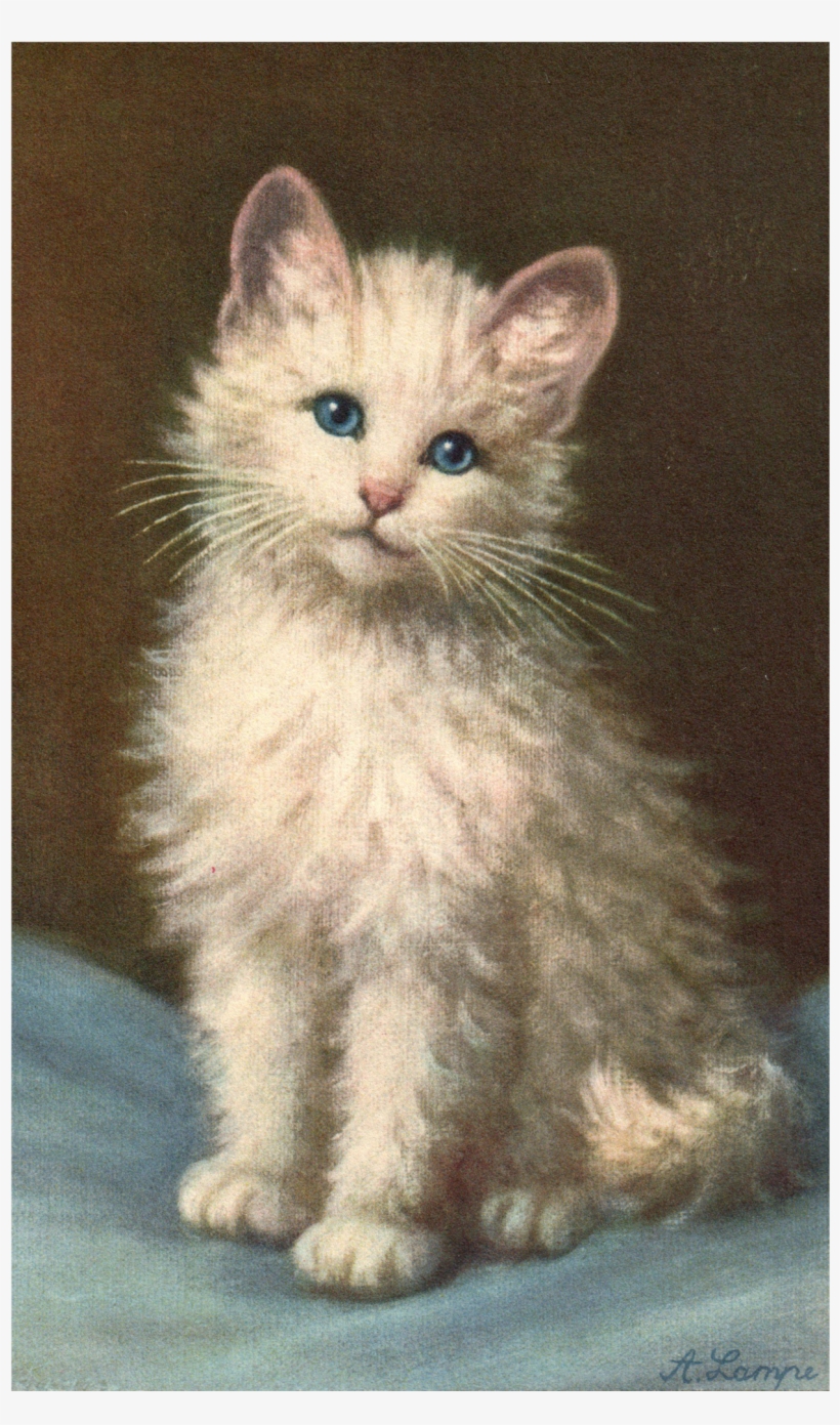 Artist Signed A Lampe White Kitten Cat - Gifs Animados De Gatitos, transparent png download