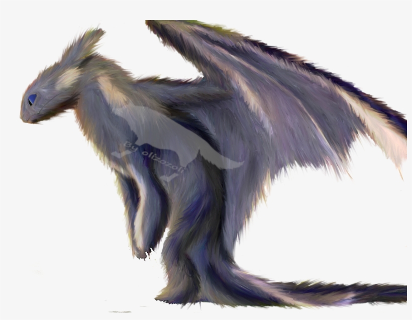 Photograph, transparent png download